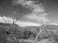 Noir & Blanc - Photos Nature  Adret en Haute Provence ...