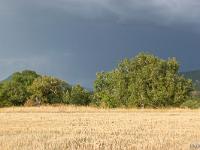 Par un jour d'orage ...  Ciel de métal  et couleurs contrastées !