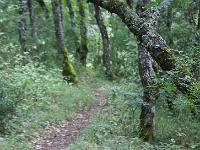 Sisteron - Collet / Marquise  Le Collet - Sentier