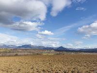 Paysages de Haute Provence - Hautes Alpes  Vue vers l'Est depuis la D 942 à l'Ouest de Ribiers (05)