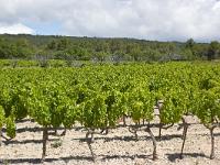 paysages-luberon-005-2  Luberon - Vignes entre Lioux et Saint Saturnin lès Apt