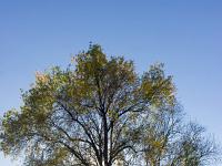 Paysages d'automne-2018  Vallée du Jabron entre Bevons et Noyers