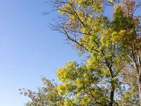 Paysages d'automne-2018  Vallée du Jabron entre Bevons et Noyers