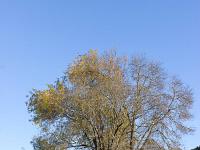 Paysages d'automne-2018  Vallée du Jabron entre Bevons et Noyers