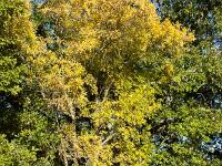 Paysages d'automne-2018  Vallée du Jabron entre Bevons et Noyers