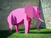 Photos en vrac ! ...  Elephant rose