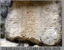 voir en taille r&eacute;elle