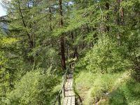 Lac de Roue  Une petite passerelle de bois a été aménagée sur le sentier pour traverser une zone humide