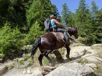Lac Sainte Anne  Rando à cheval ! Majestueux et d'une puissance impressionnante ! ...