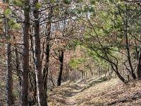 Rando Vieil Eygians Vieil Arzeliers A/R  Vue sur le sentier