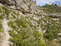 Rando -Gorges de la Méouge  Le sentier à gauche. A droite en bas, la Méouge et en haut au loin, le village de Pomet
