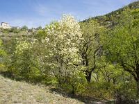 Rando -Gorges de la Méouge  Nous sommes fin mars 2015, au début du printemps.