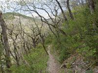 Rando -Gorges de la Méouge  Le sentier.