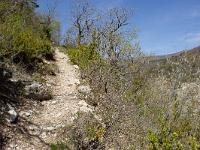 Rando -Gorges de la Méouge  Il faut monter pour rejoindre le plateau.