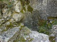 Rando -Gorges de la Méouge  D'autres ruines du moulin.