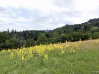 A l'Est de Saint Symphorien  Au niveau de la ferme de Mens que l'on aperçois en haut à droite