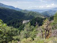 A l'Est de Saint Symphorien  Vue vers le Sud/Ouest. Au centre, on aperçois une de ces barres de grès orientées Nord/Sud. Nous étions derrière tout à l'heure