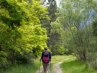 A l'Est de Saint Symphorien  Sur le sentier du retour
