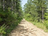 Boucle via le Pas de l'Essaillon  La piste après le col de Saint Pensier