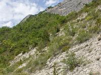 Boucle via le Pas de l'Essaillon  Autre vue sur le sentier