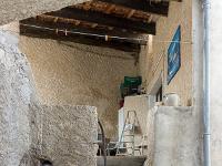 Antonaves