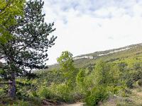 Pic et crête de Saint Cyr  Je chemine sur une belle piste