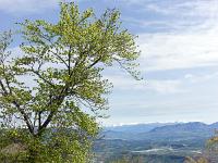 Pic et crête de Saint Cyr  Vue vers le Nord (sens inverse de la marche)