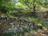 Restanques et enclos  Restanques avec une passage pentu permettant de passer de l'une à l'autre
