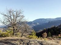 Chemin d'Aubard  Vue sur Lure Pelegine, Boudeichard et la montagne Saint Michel. En arrière plan, Lure