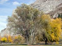 Sisteron  Au plan d'eau 1/7