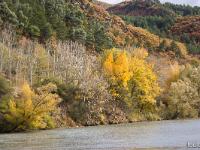 Sisteron  Rive gauche de la Durance