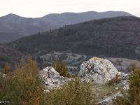 Sisteron - Balade au Collet  Depuis le Collet