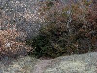 Sisteron - Balade au Collet  Le sentier
