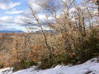 Le Collet - Mars 2018  Vue vers le Nord