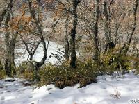 Le Collet - Mars 2018  Vue sur la vallée du Buech en contrebas