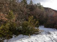 Le Collet - Mars 2018  Encore environ 25cm de neige par endroits
