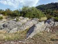 Sisteron - Le Collet  Roches affleurantes au Collet. En arrière plan, l'ubac du Molard