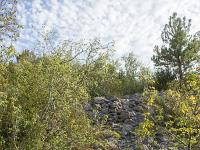 Sisteron - Le Collet  Vestige de pierrier. Des terres étaient ici cultivées jadis