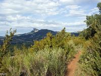Sisteron - Le Collet  Vue vers le Nord/Est depuis le sentier
