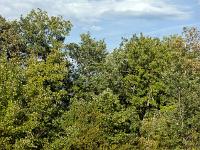 Sisteron - Le Collet  Vue sur le sentier