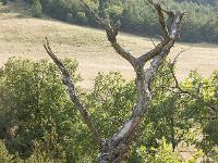 Sisteron - Le Collet  Paix à son âme ! ...