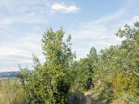 Sisteron - Le Collet  Nous repartons vers l'Est