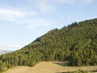 Sisteron - Le Collet  Le Molard et le chemin de la Marquise ici au niveau de l'ubac des Combes