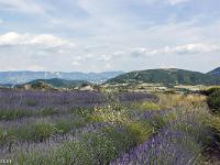Sisteron - Les Houlettes  Autre vue vers l'est depuis les Houlettes