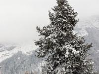 Sisteron sous la neige  Avenue Alsace-Lorraine