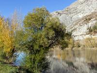 Petite promenade sisteronaise  La Durance