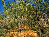Boucle Sisteron via l'ancienne route d'Entrepierres  L'automne flamboie sur l'adret de la montagne de la Baume