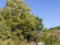 Boucle Sisteron via l'ancienne route d'Entrepierres  Route Napoléon