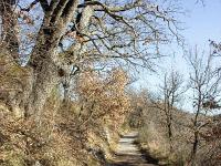 Sisteron - Route Napoléon  A l'Est du chemin reste encore en partie le muret qui retenait la terre