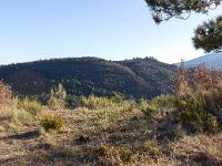 Sisteron - Route Napoléon  Vue sur la montagne de Briasc au Sud